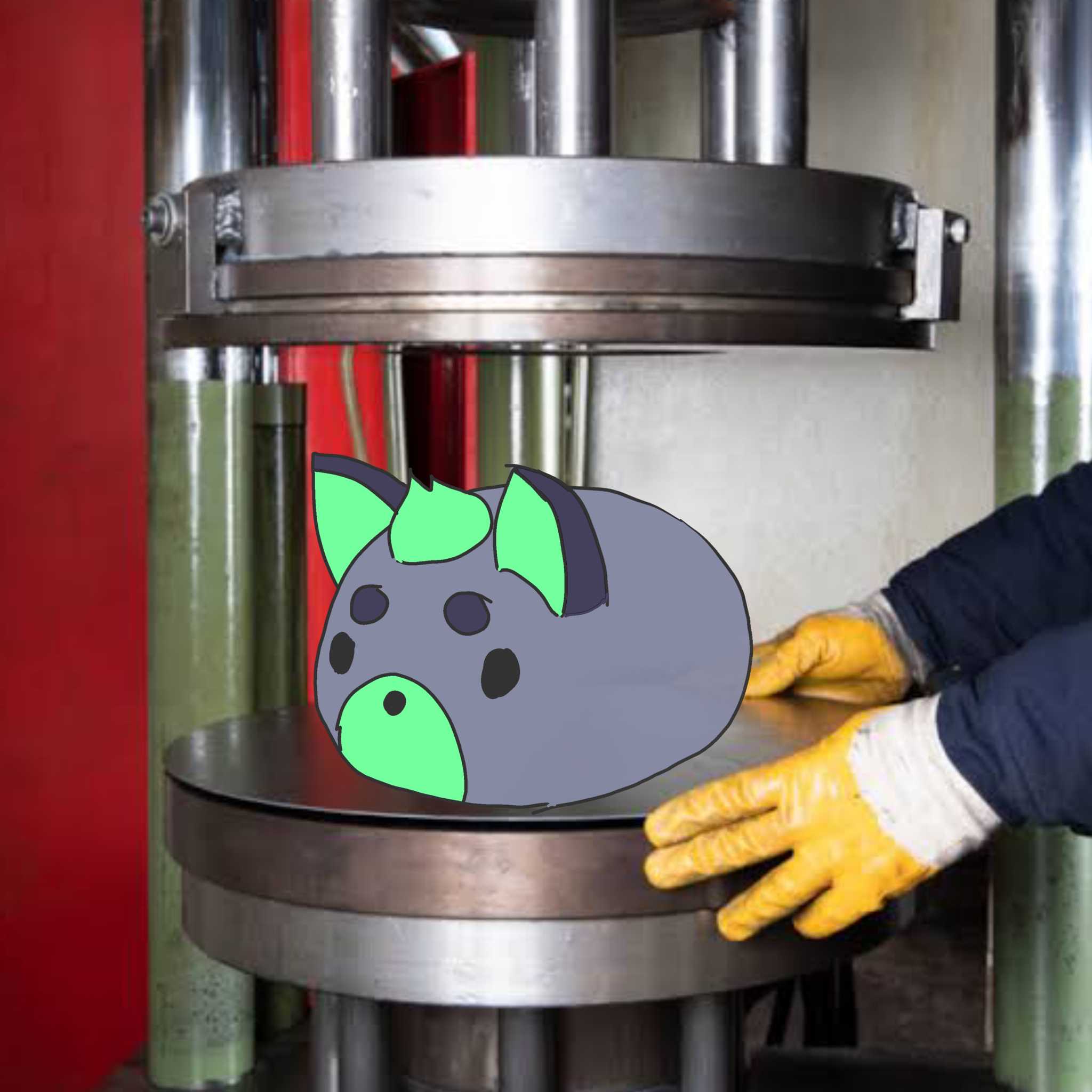 Foto de banner de bolognamomoe