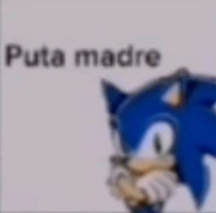 Foto de banner de DexDousky